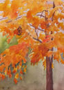 watercolour Autumn Leaves 