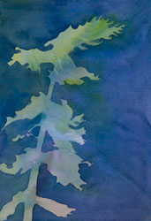 Watercolor painting Surreal Tree No.4