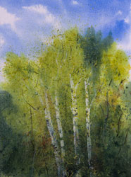Watercolor painting White Birch Trees Summer