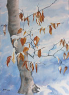 watercolour  Last Leaves